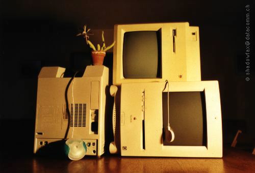 group of Macs